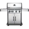 Napoleon Rogue 4 Burner Natural Gas Grill Silver