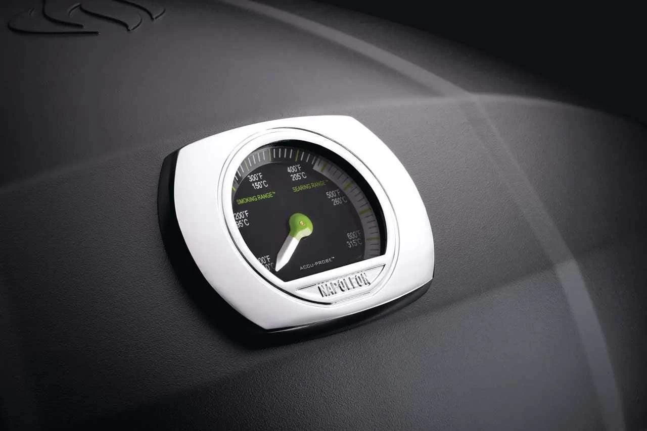 Napoleon TravelQ PRO285E Portable Electric Grill - Image 4